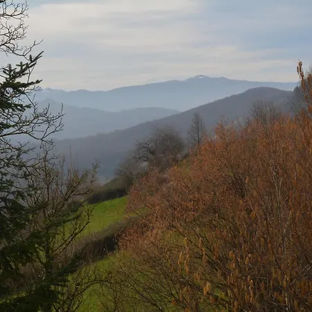 Petit Tara Avec - Ariege Pyrenees * Pereille
