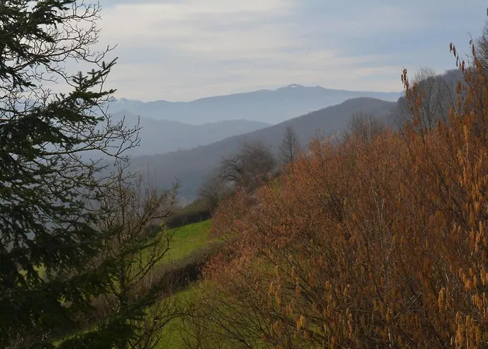 Petit Tara Avec - Ariege Pyrenees * Pereille